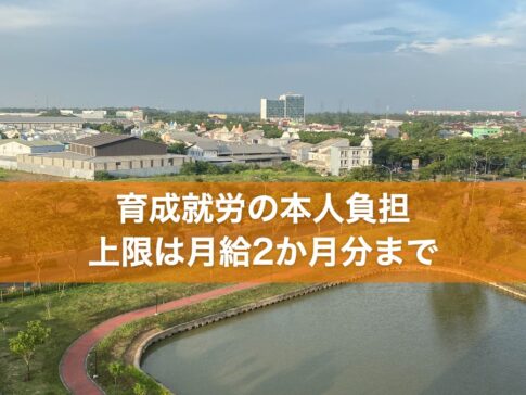 育成就労の本人負担 上限は月給2か月分まで