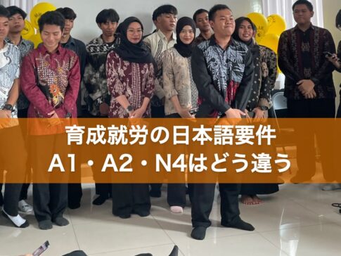 育成就労の日本語要件 A1・A2・N4はどう違う